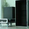 db q10 speaker case 1