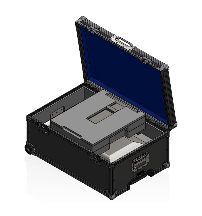 Travel Case for Radiforce MX317W Medical Monitor